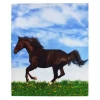 Galloping Horse Print Framed Canvas 46cm X 56cm