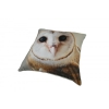 Owl Face Cotton Cushion Cover With Insert 45cm X 45cm