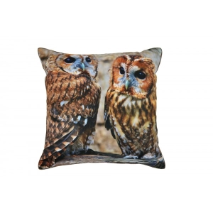 Brown Owls Cotton Cushion Cover With Insert 45cm X 45cm