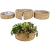 Chaka Plastic Lined Round Seagrass Baskets – Set Of 3