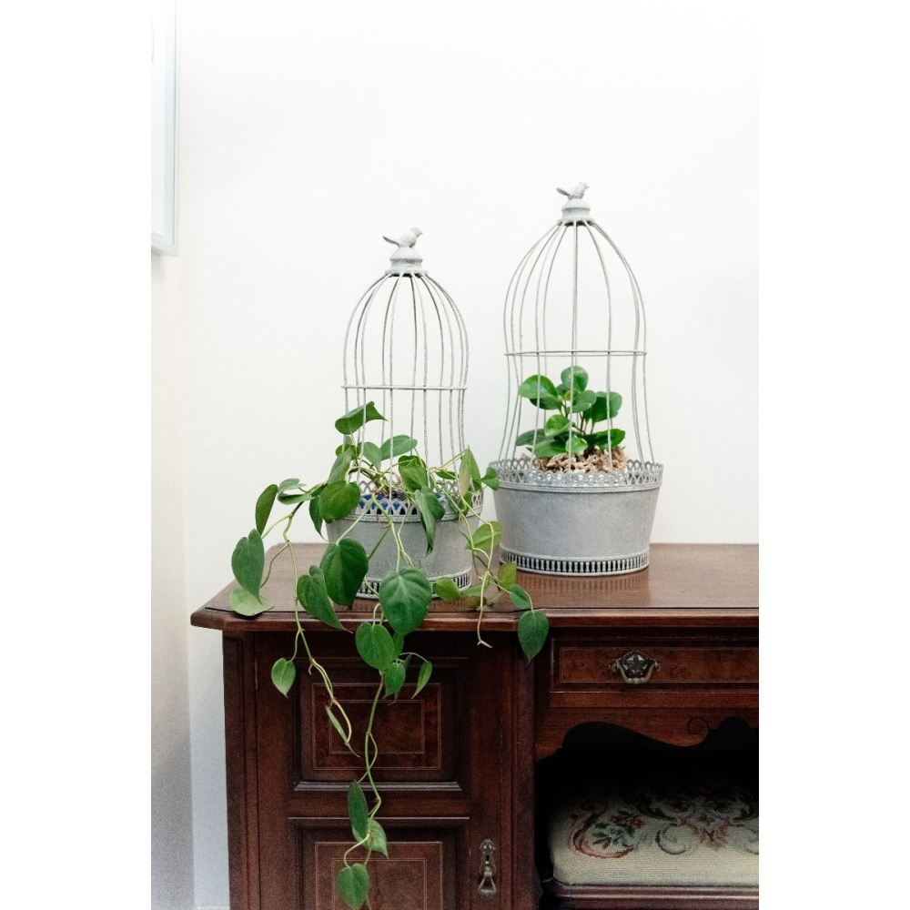Bird Cages Metal Pot Planters – Set Of 2