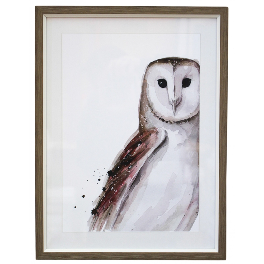 Wise Owl Framed Print Wall Art 30x40cm