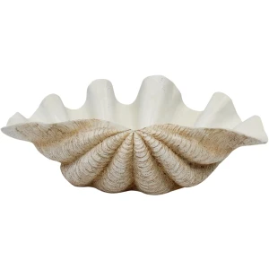 X-large Natural Clam Shell Decor 53cm