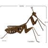Lucky Praying Mantis Metal Outdoor Decor 54cm – Rust