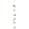 Driftwood String Of Shells Hanging Decor
