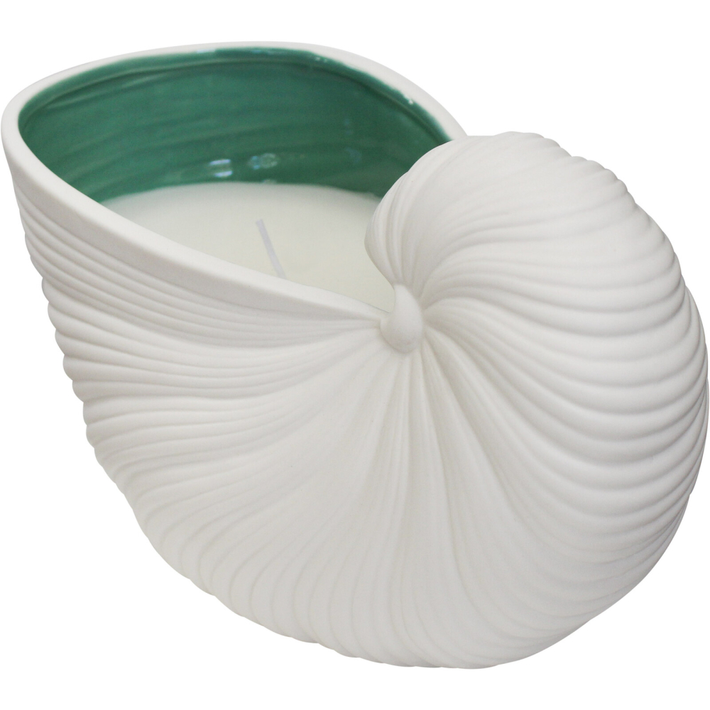 White Ribbed Conch Shell Candle
